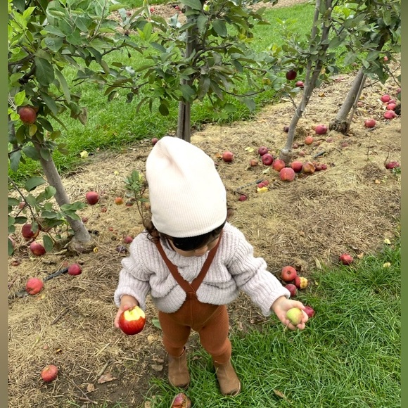 Zara Other - Zara Kids Sweater 2-3 YRS